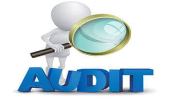 Auditing Services (External)